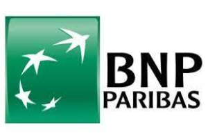 bnp